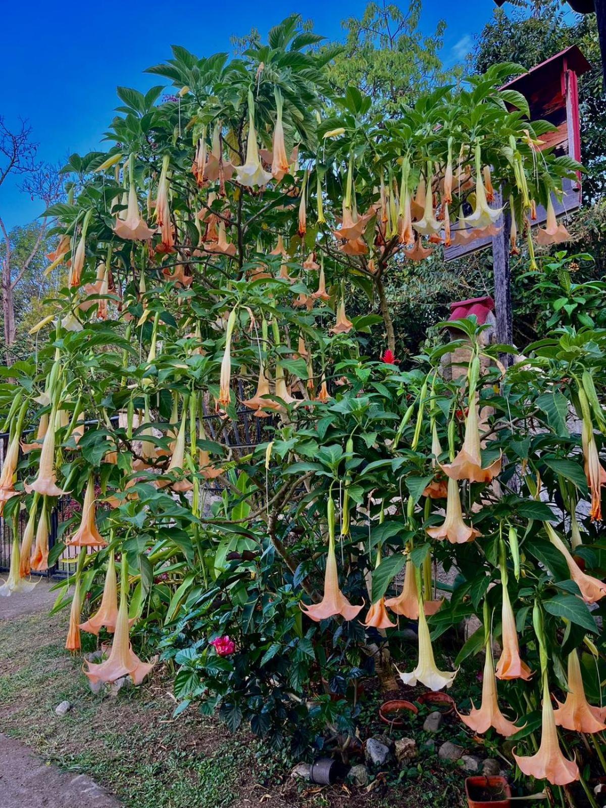 Casa Annunakis San Agustín 外观 照片